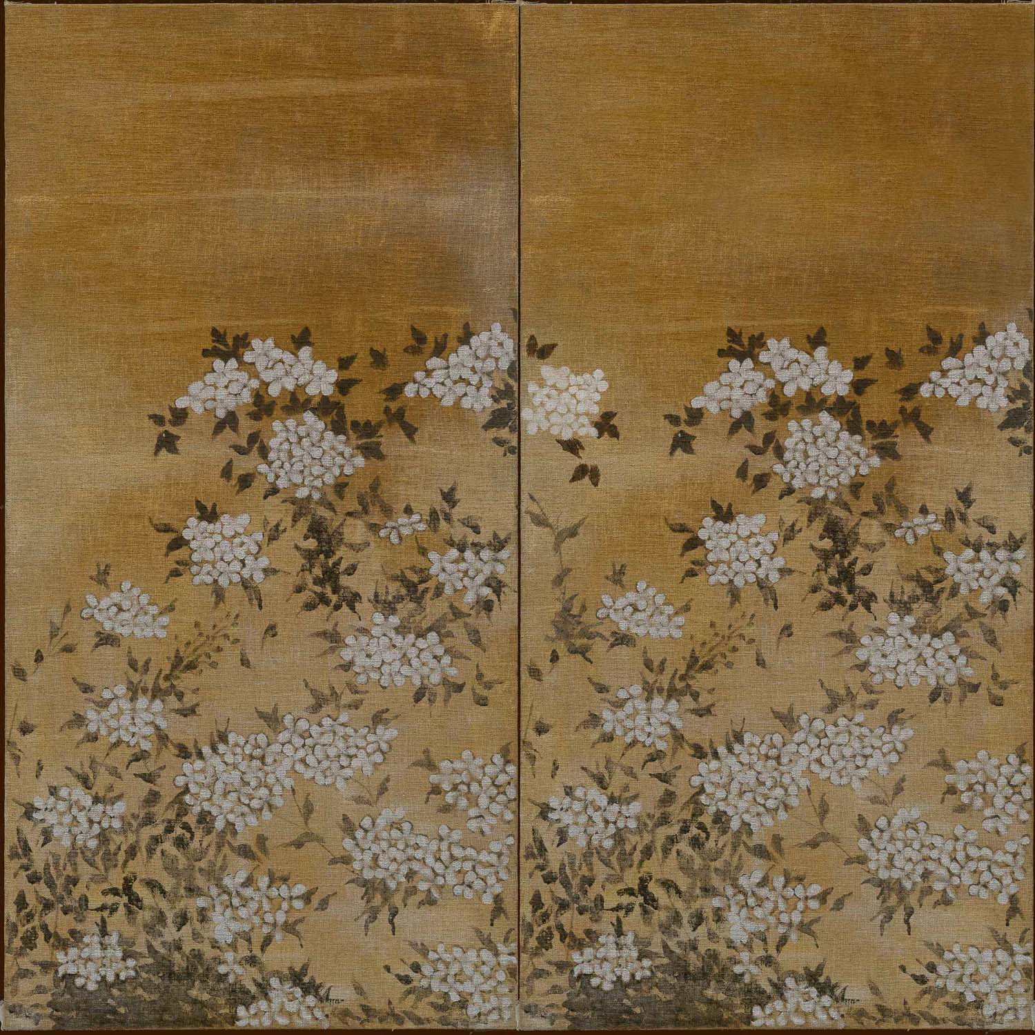 Jute, Flora, Coordonne
