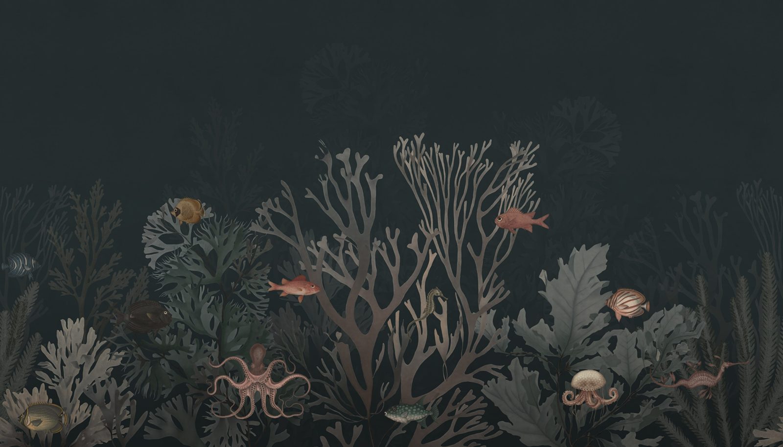 Coral World, Night, Rebel Walls