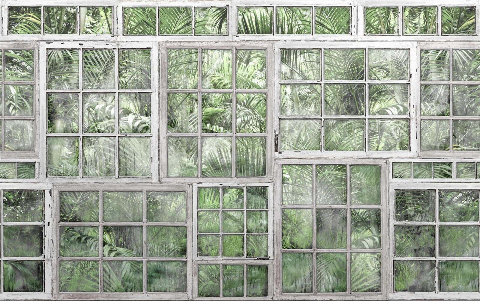 Perspective Jardin, Rebel Walls