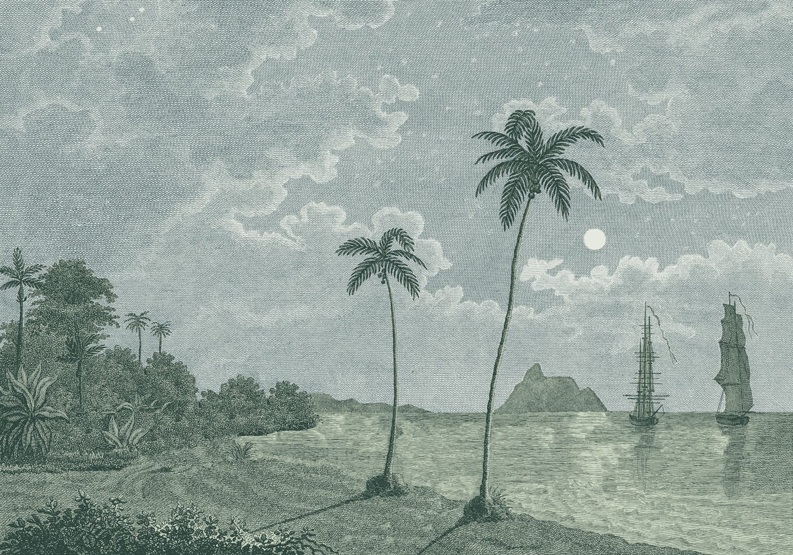 Palm Beach, Blue, Rebel Walls