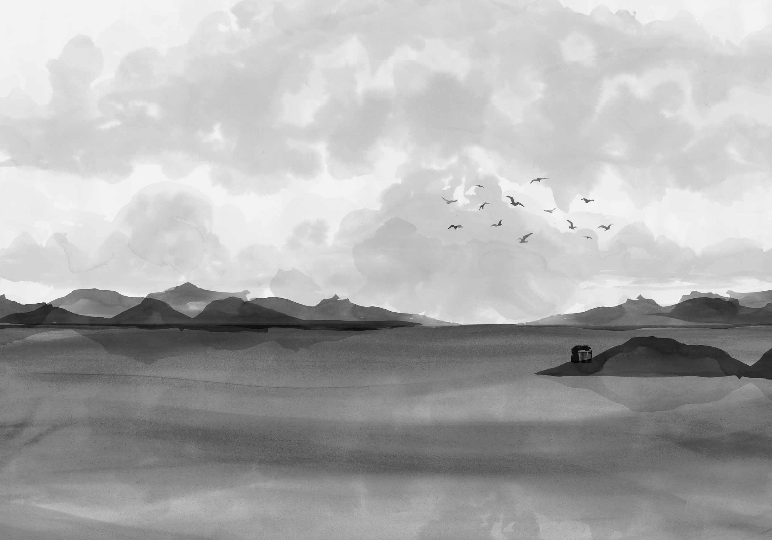 Dungeness View, Black, Coordonne