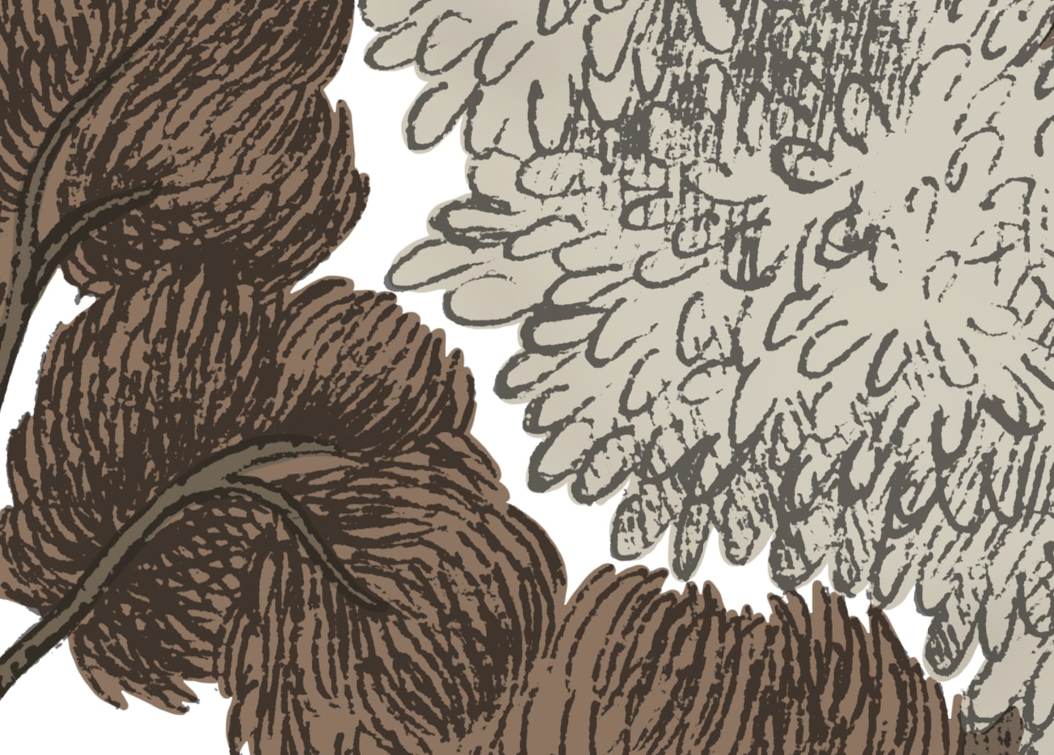 Scandinavian Bellewood, Fall, Rebel Walls 4