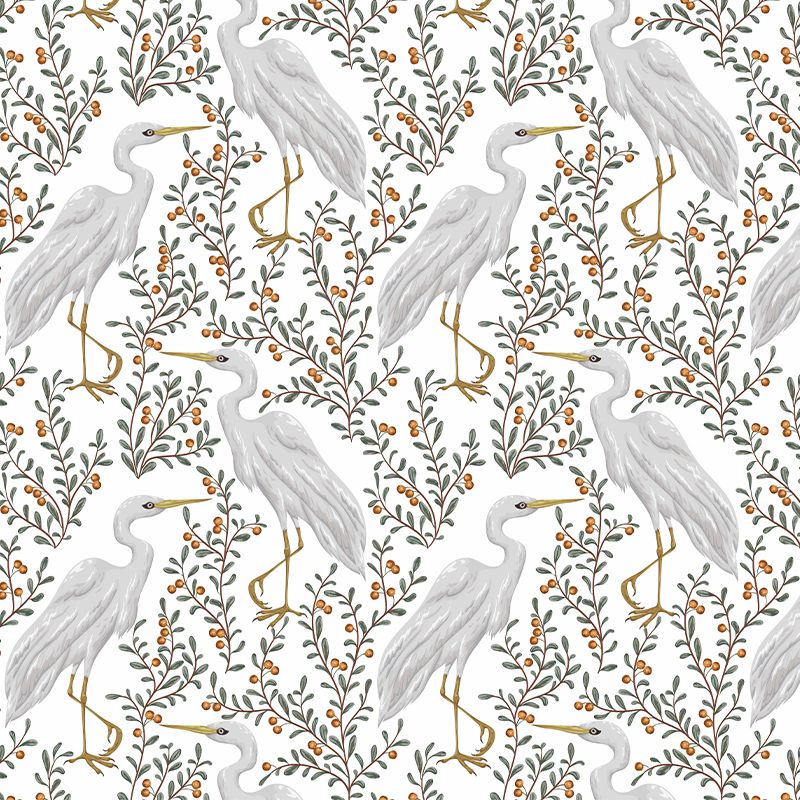 Bird story, VLAdiLA