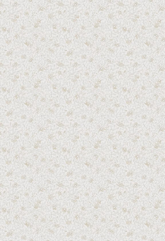 Stella Sandstone, Sandberg, 5.3mp / rola
