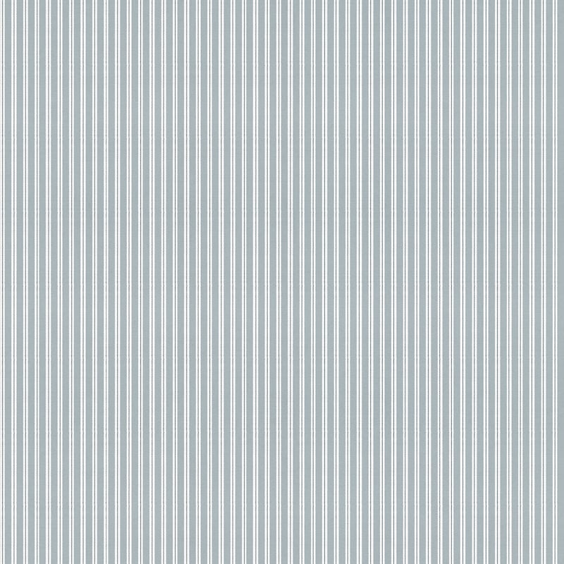 Stripe 0.7, Principe, Coordonne, 5mp / rola