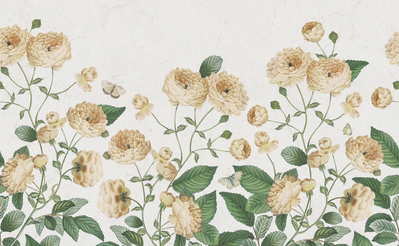 Sweet Buttercups, Sand, Rebel Walls