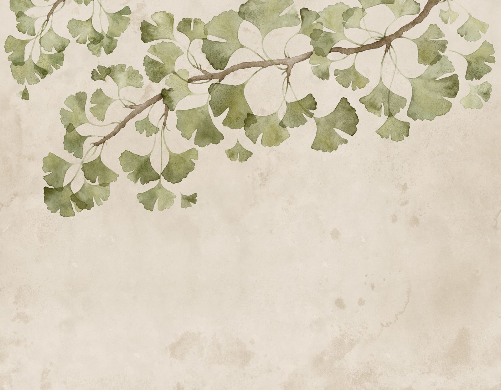 Maidenhair Tree, Light Green, Rebel Walls