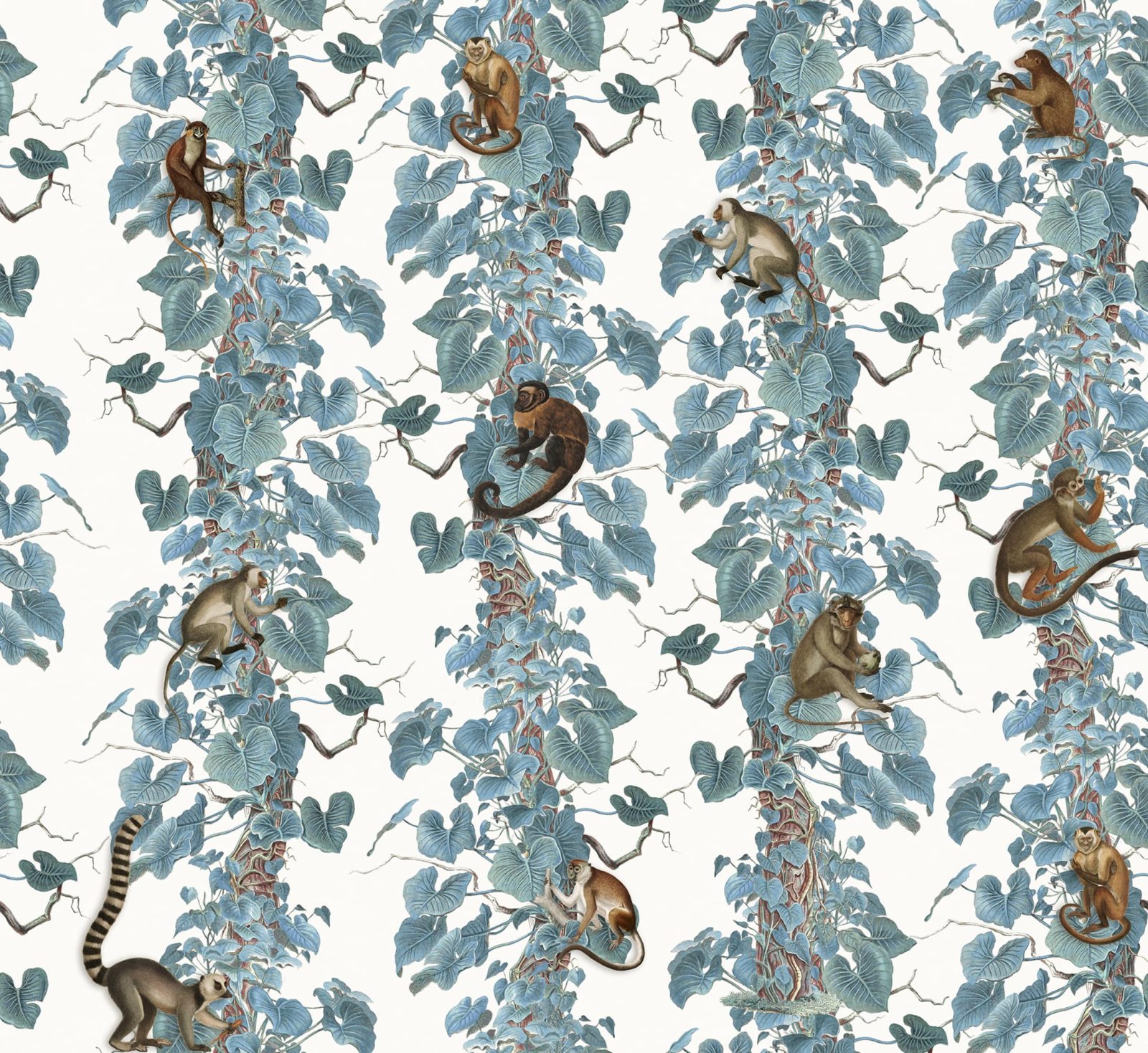 Monkey Climbers, Blue, Rebel Walls