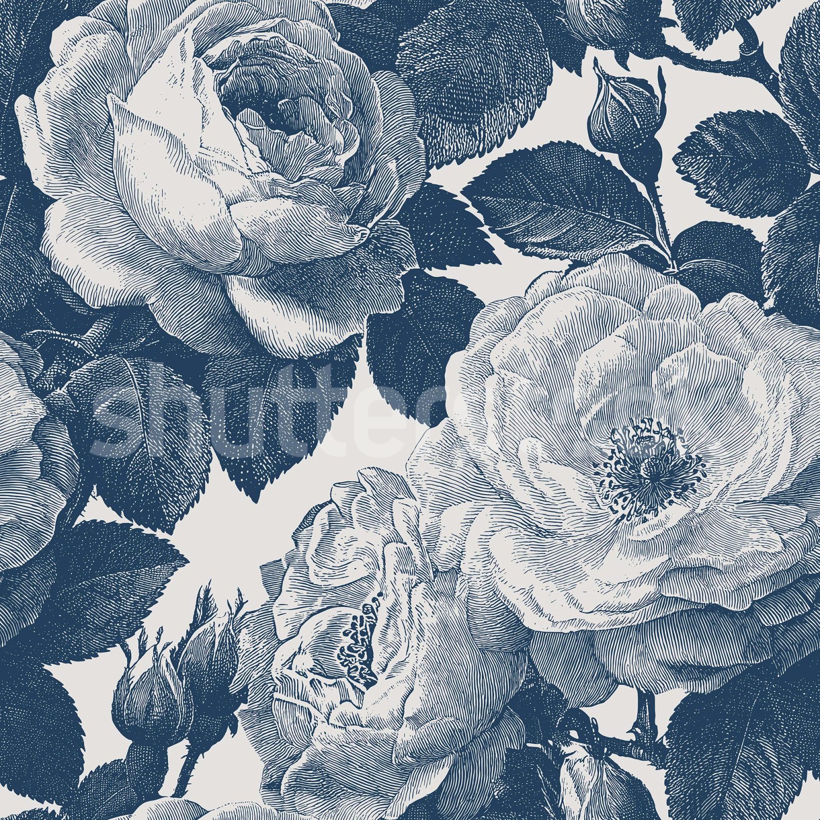 Bold Roses, Blue, Rebel Walls