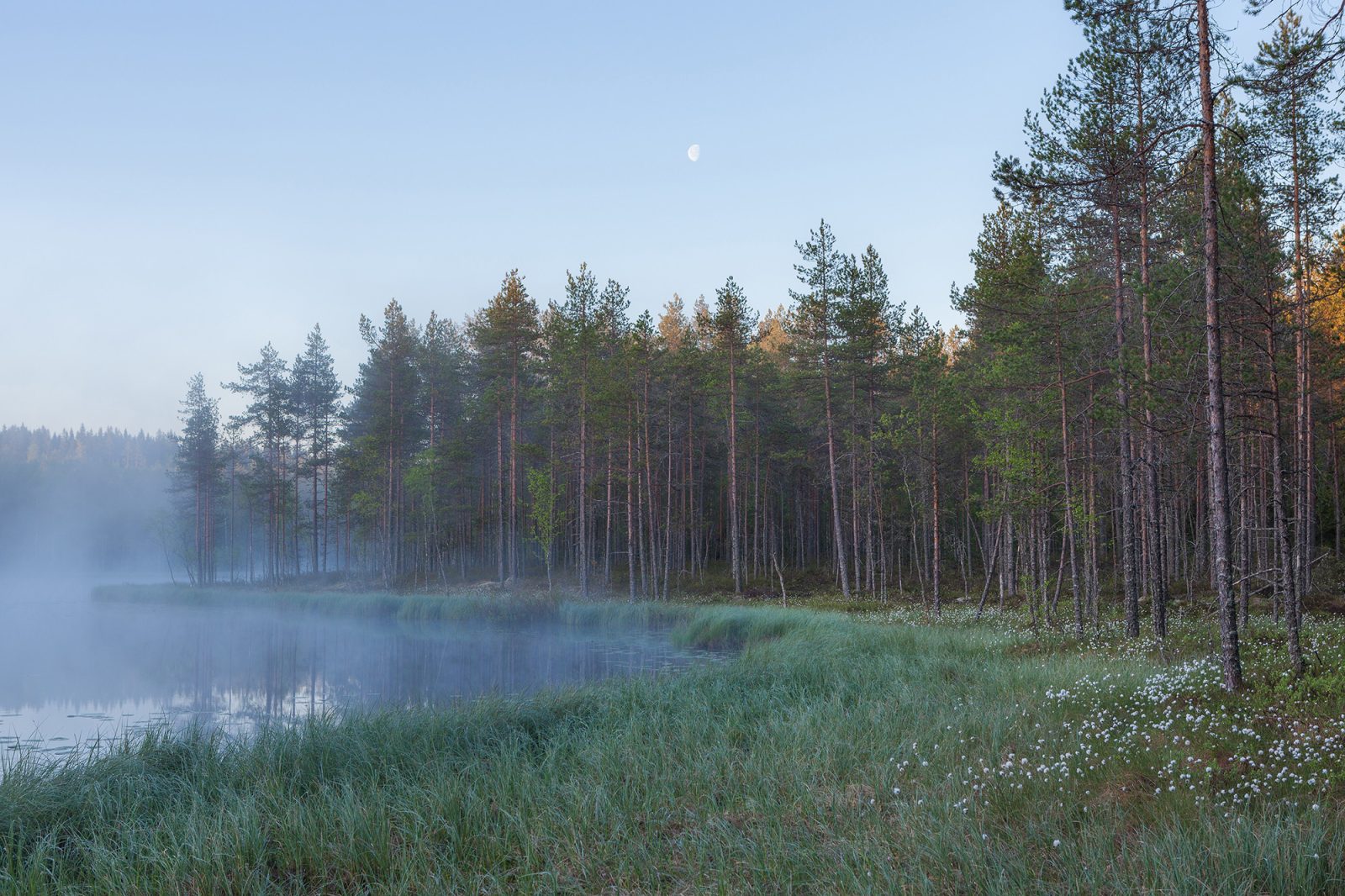 Forest Lake, Rebel Walls
