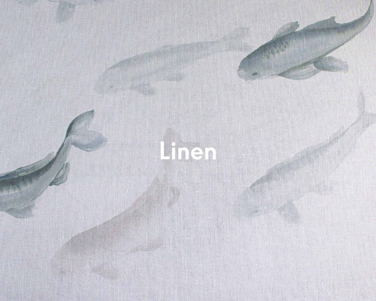 Koi, Swan, Coordonne 4