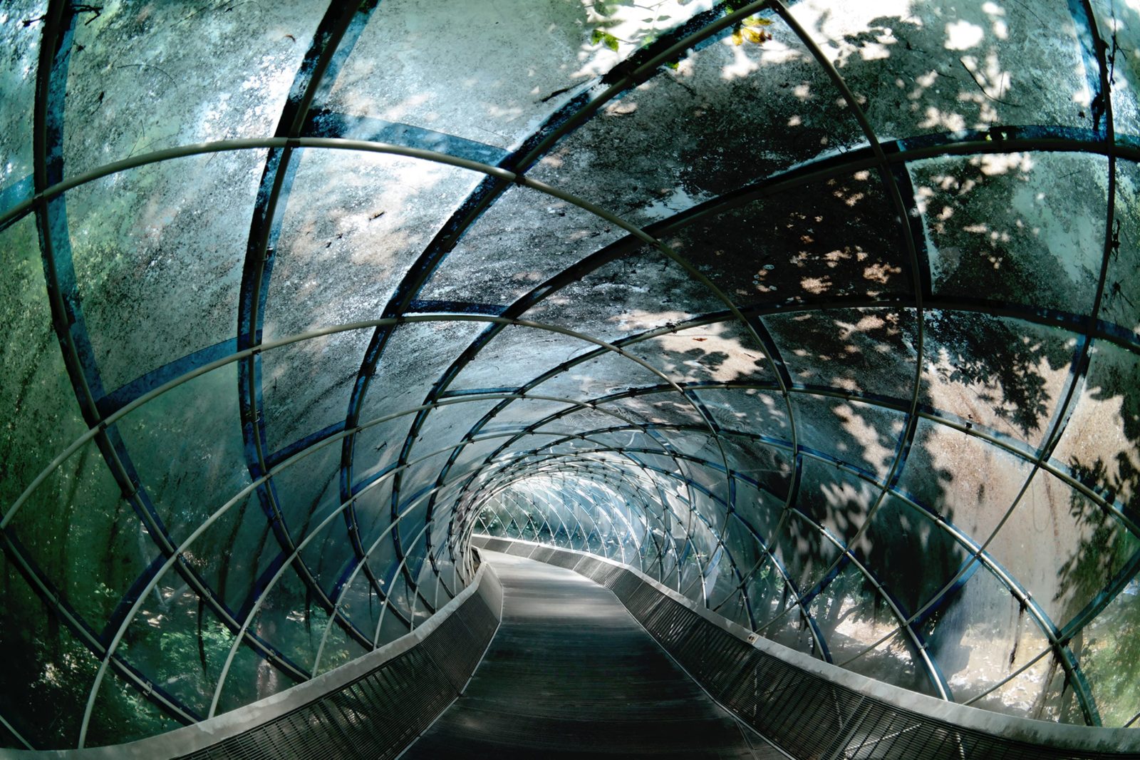 Tunnel of Glass, Rebel Walls