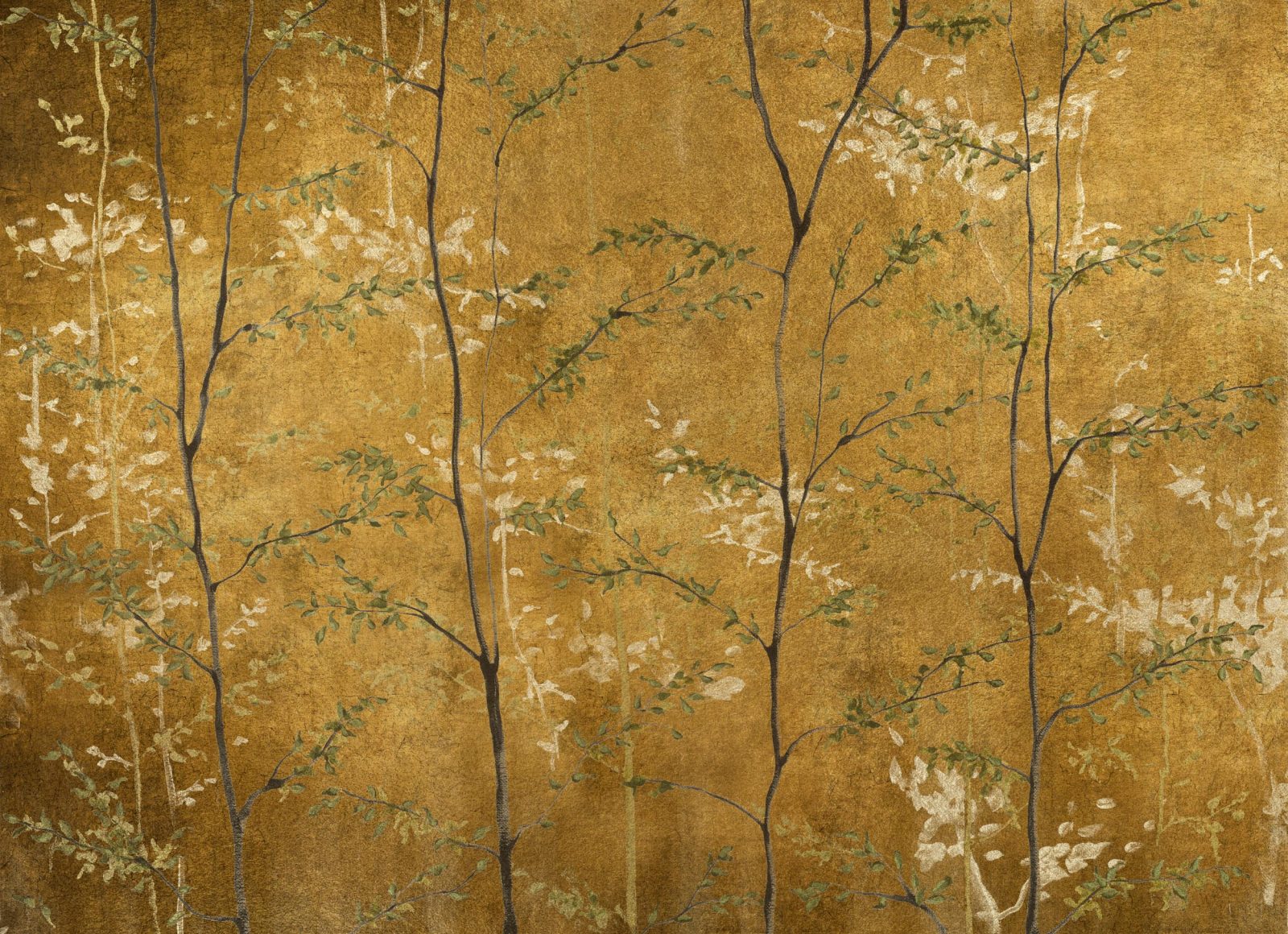 Woods Extra, Gold, Coordonne