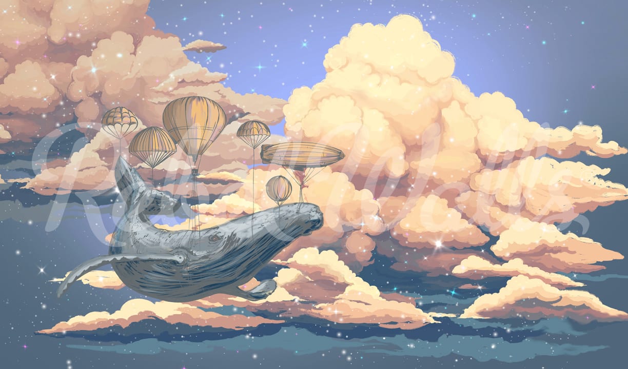 Among the Clouds, Rebel Walls
