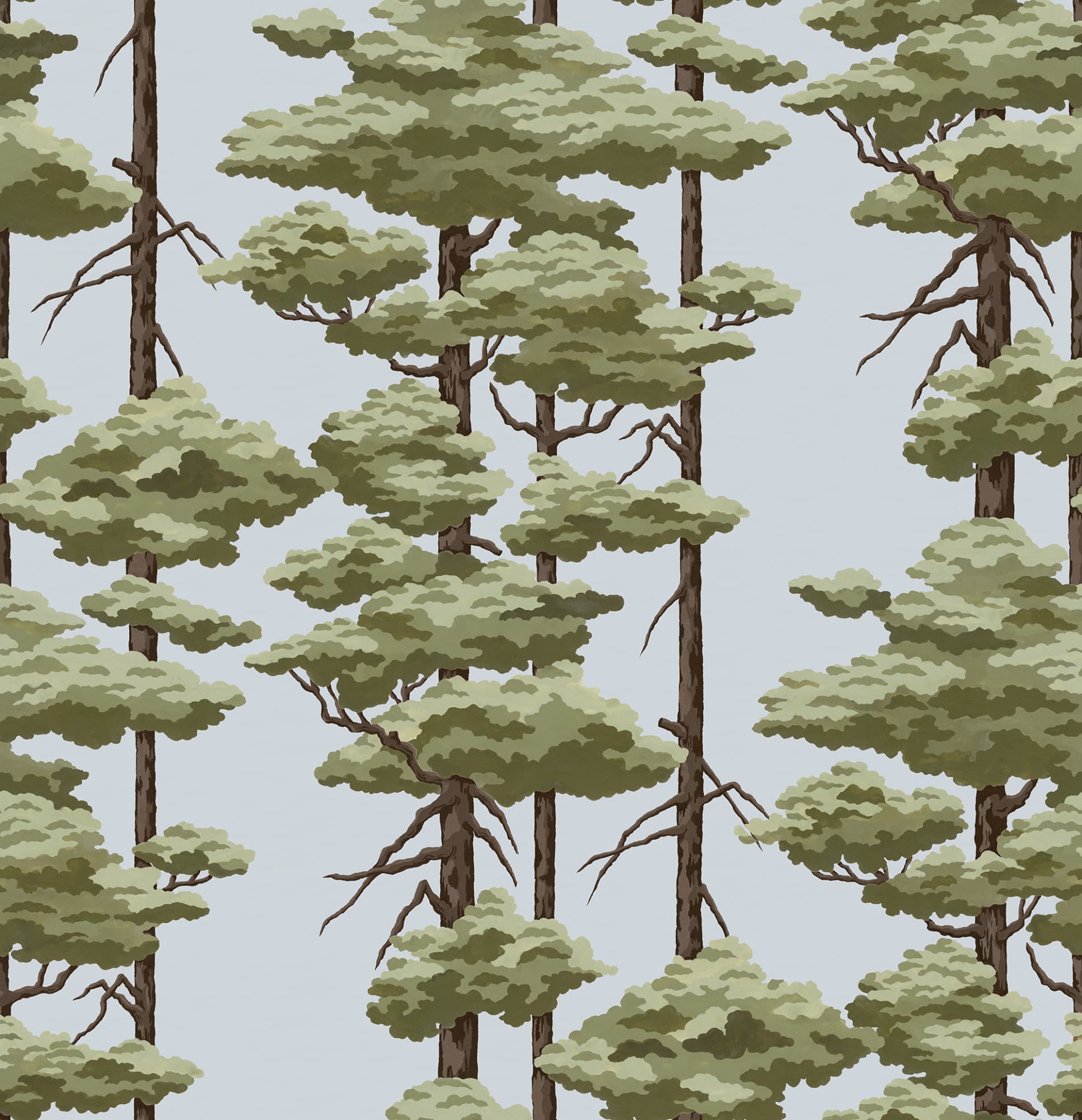 Highland Pines, Blue, Rebel Walls