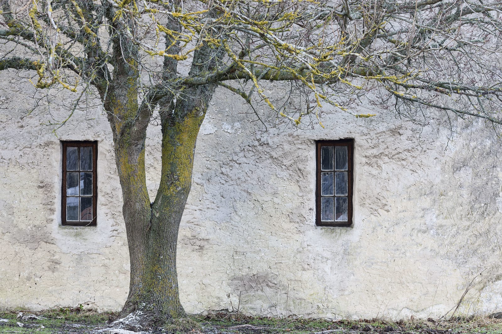 Under The Tree, Rebel Walls