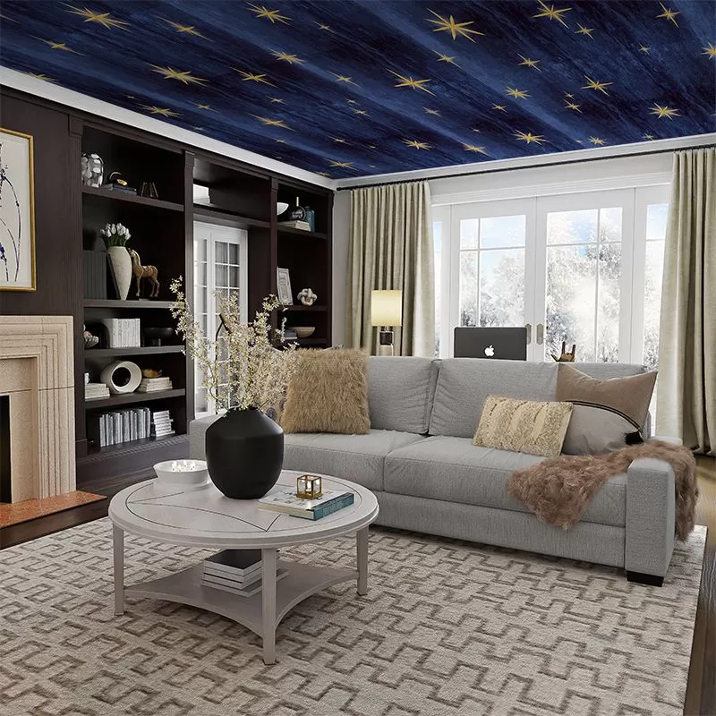 Stars Blue, VLAdiLA 2