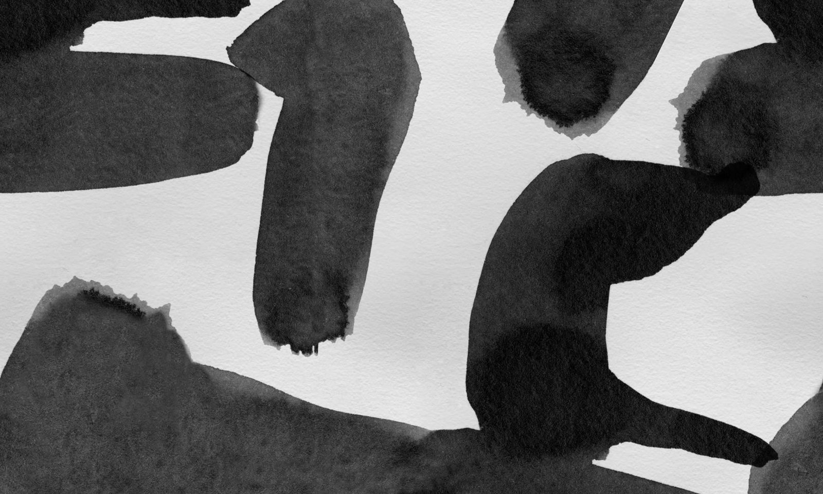 Wiggle Shapes, Graphite, Rebel Walls