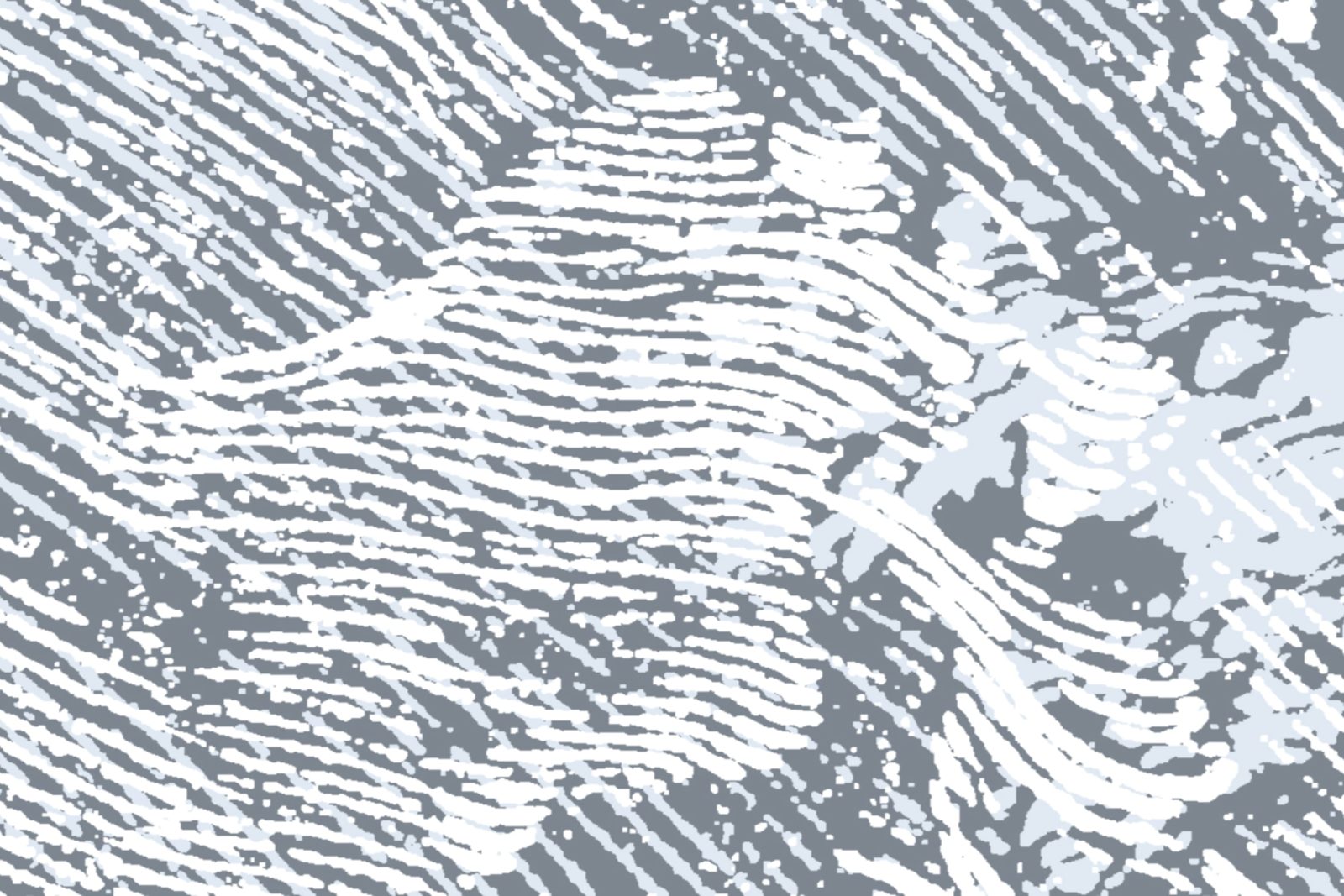 Breeze, Blue, Rebel Walls 4