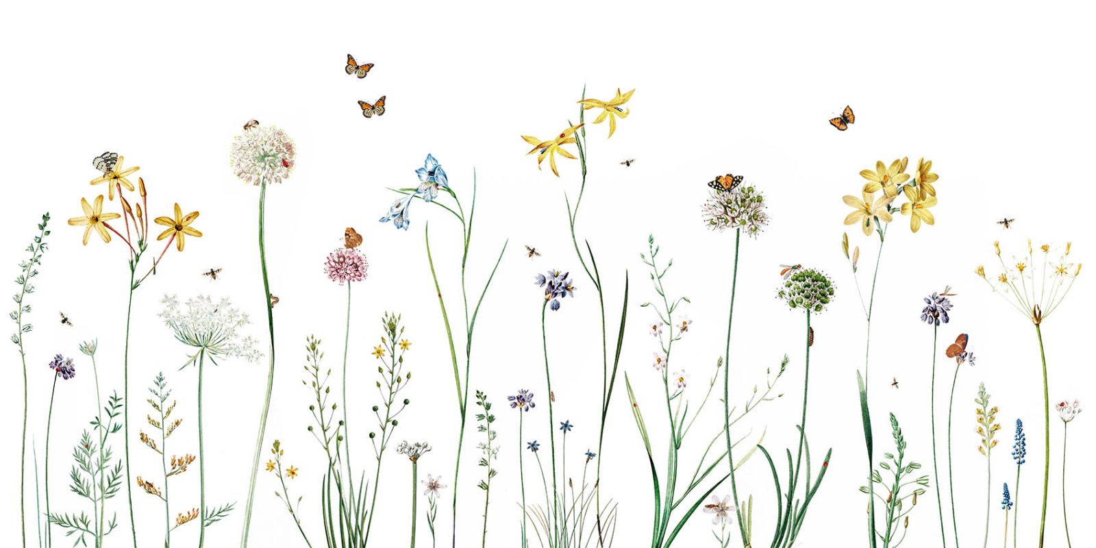 Butterfly Garden, Kikki Belle