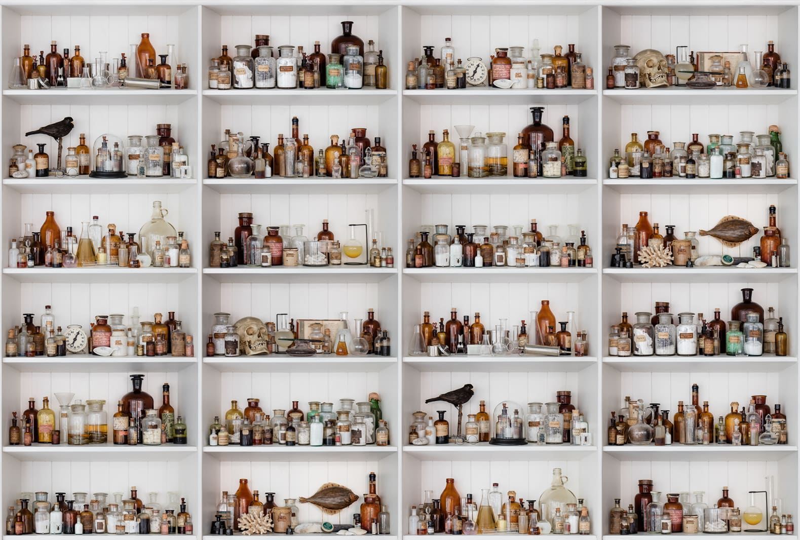 3D Cabinet of Curios, Rebel Walls
