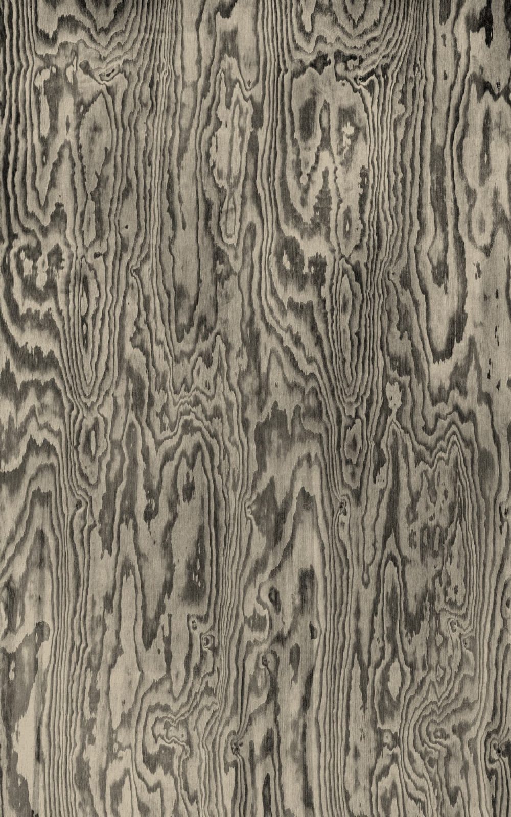 Wood Shades, Gray, Rebel Walls