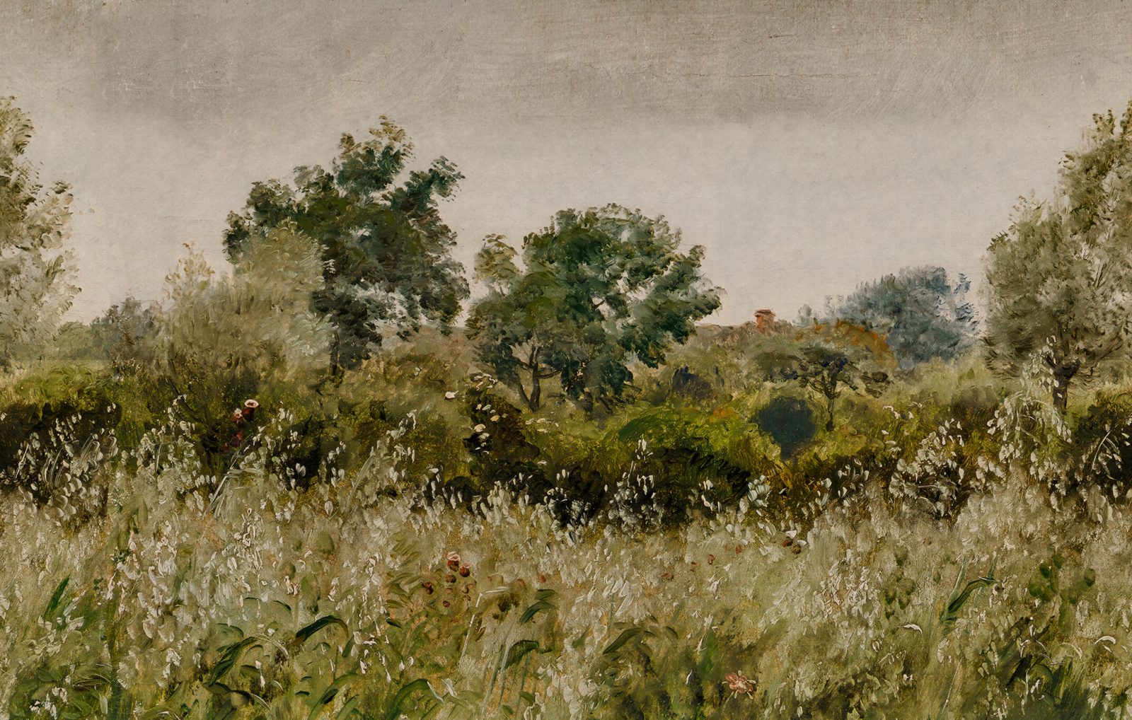 Oatfields, Summer, Rebel Walls