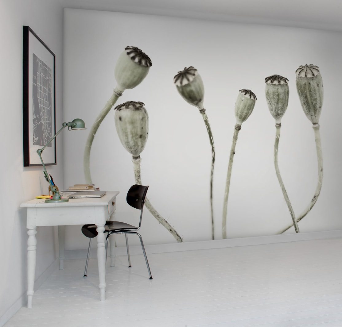Simple Seedpod, Rebel Walls 3