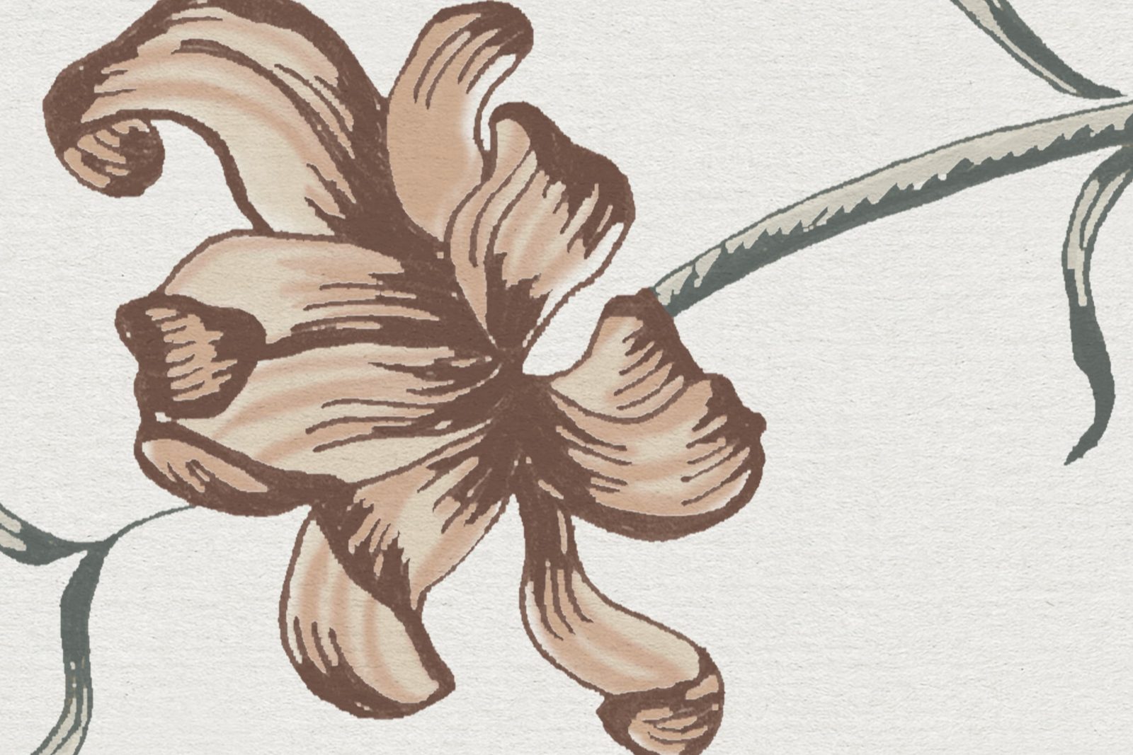 Flower Fall, Pearl, Rebel Walls 5