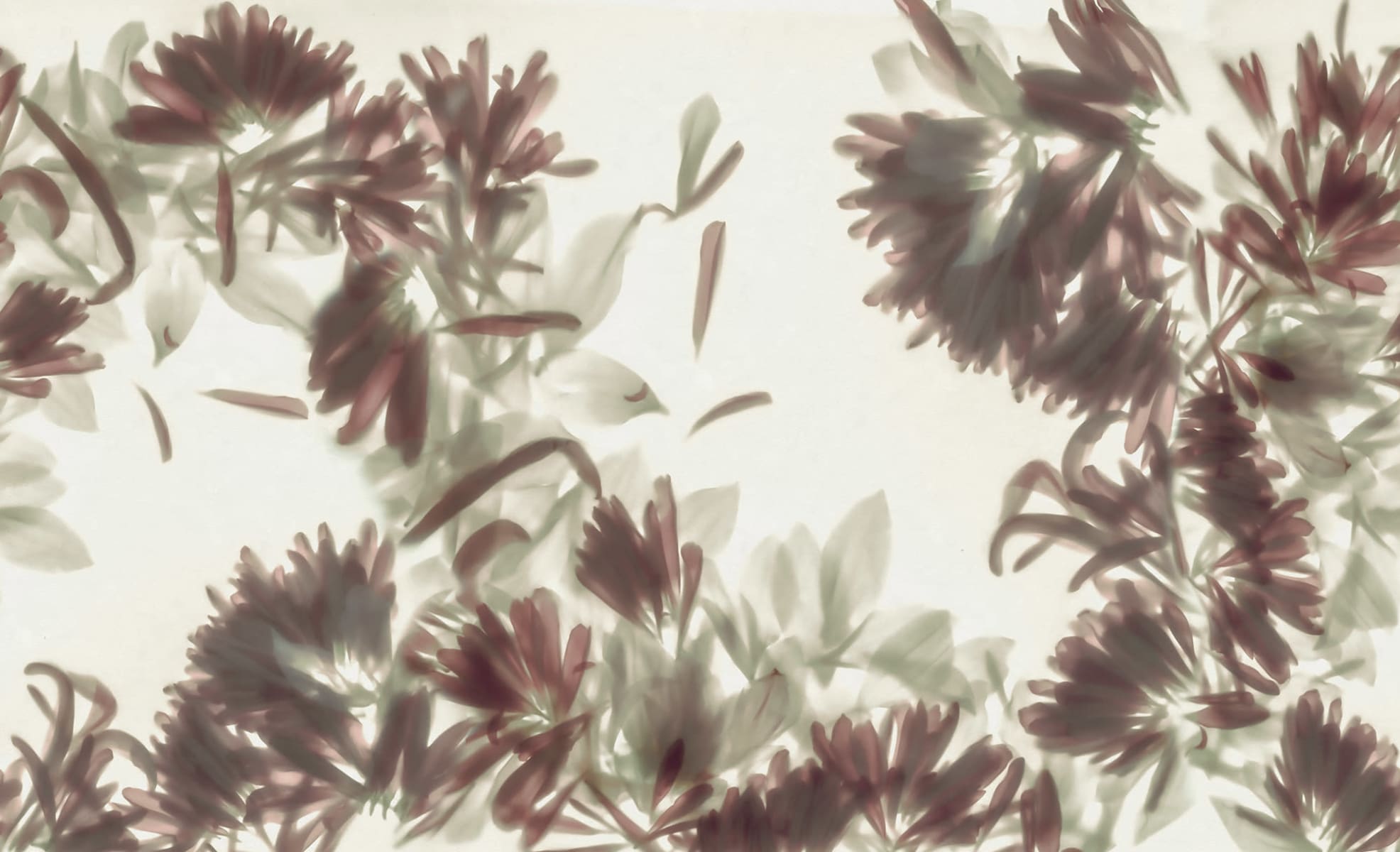 Blurry Honeysuckle, Green, Rebel Walls