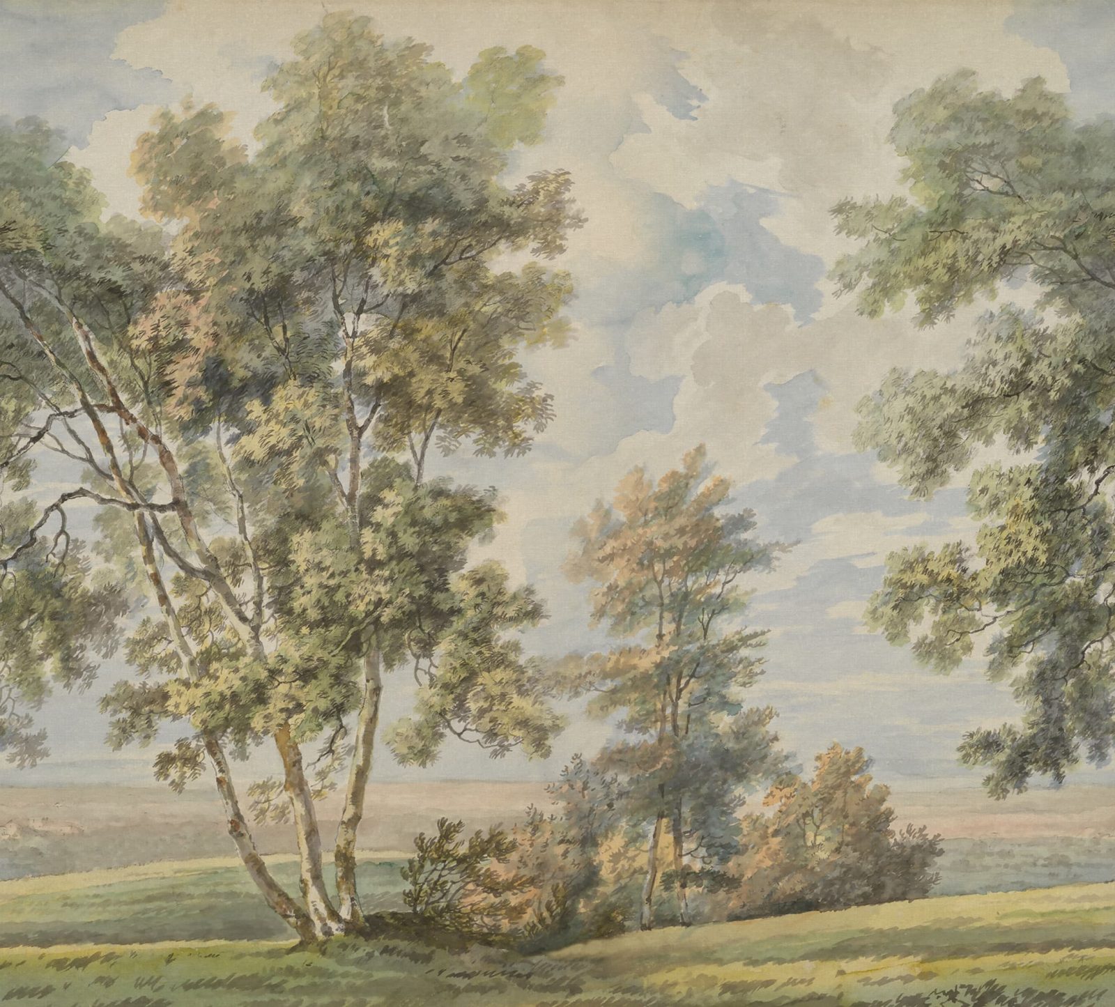 Tree on the Hill, Vintage, Rebel Walls