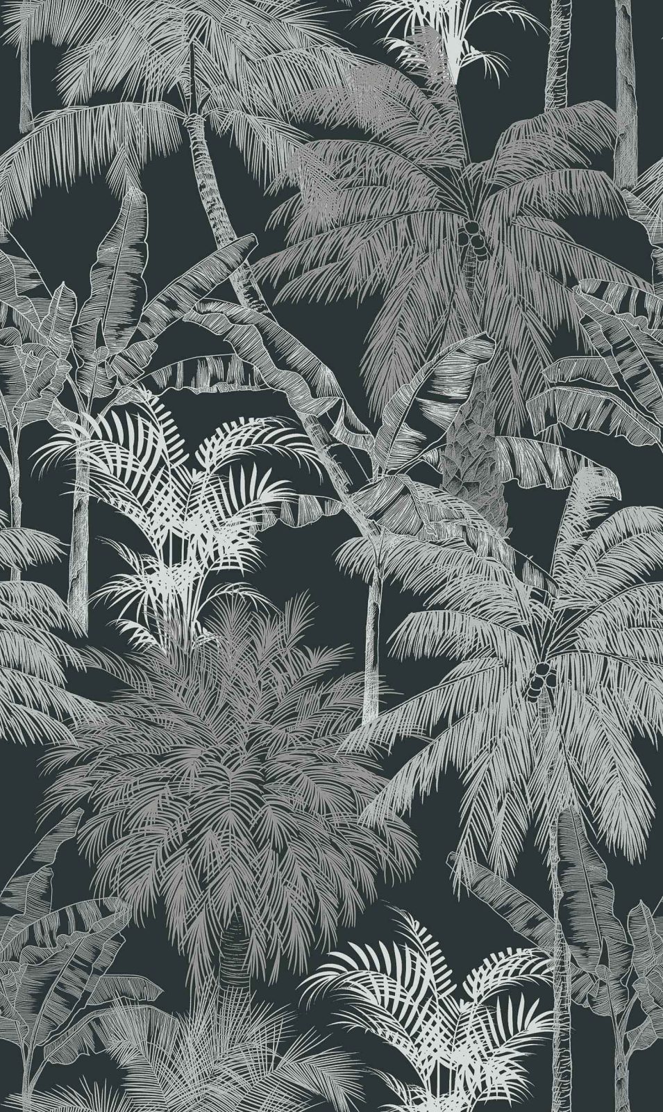 Palms, Carbón, Coordonne, 5mp / rola