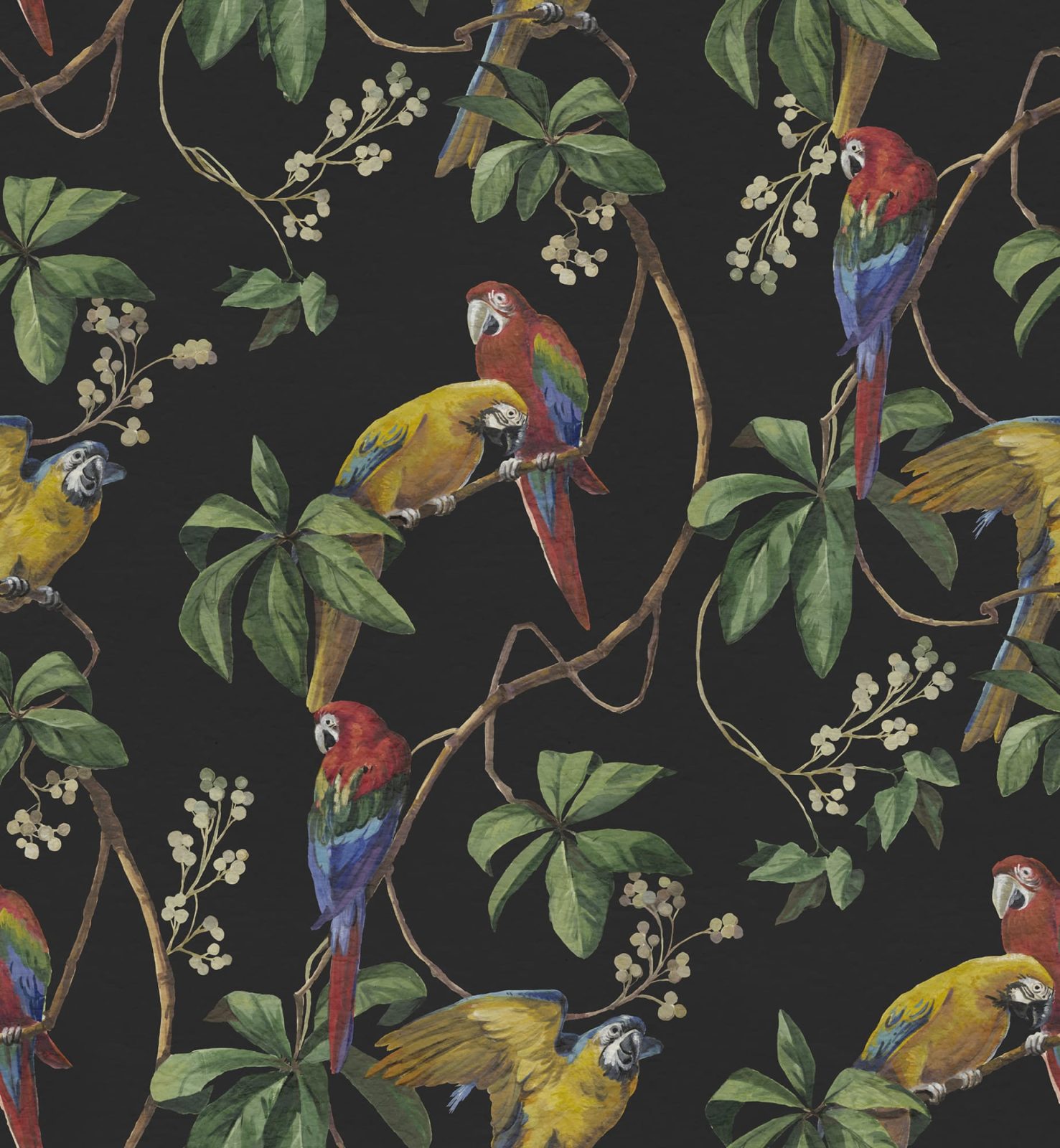 Parrots, Midnight, Rebel Walls