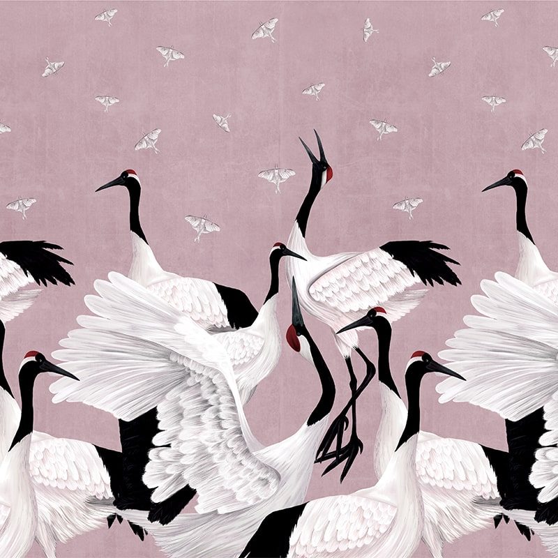 Grus Japonesis in Pink, VLAdiLA