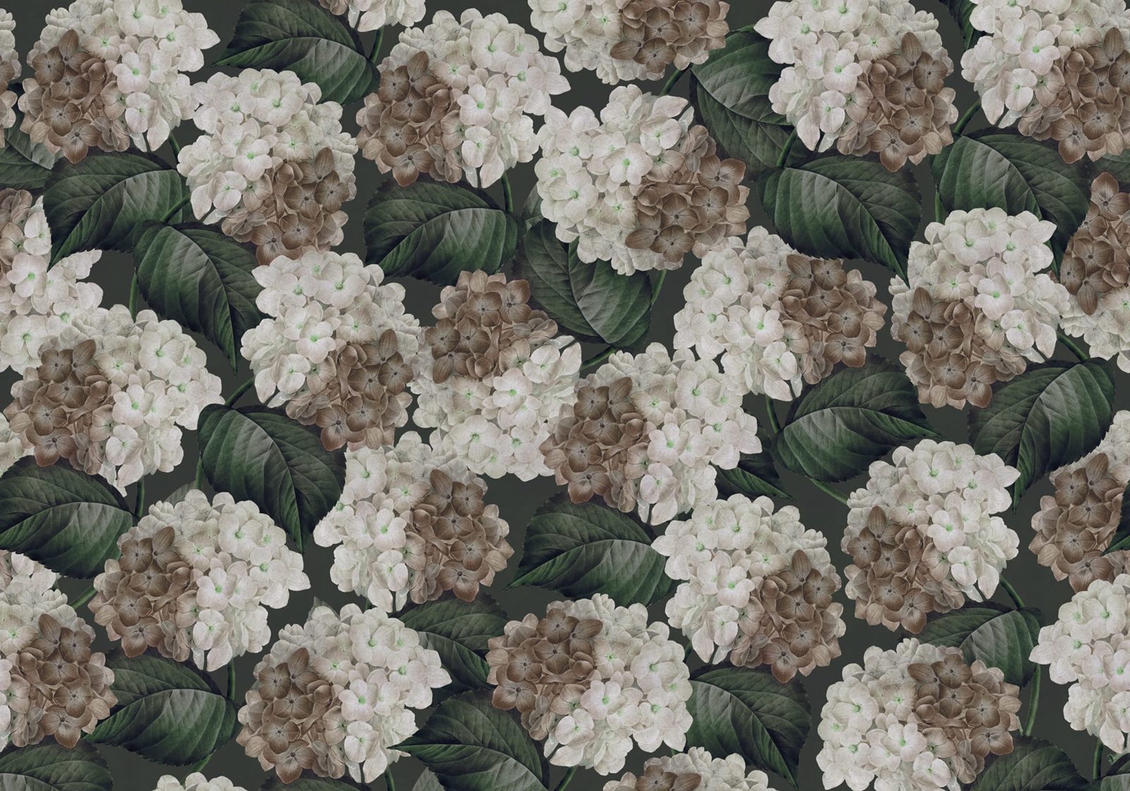 Hydrangea, Midnight, Rebel Walls