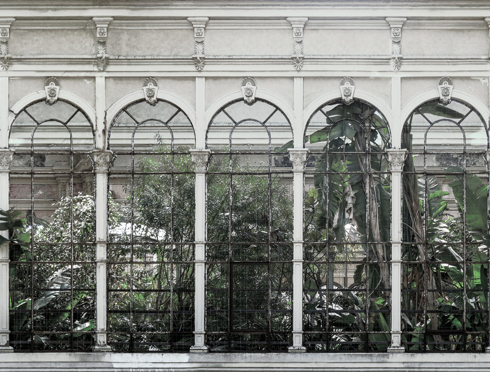 Dove Gardens, White, Rebel Walls