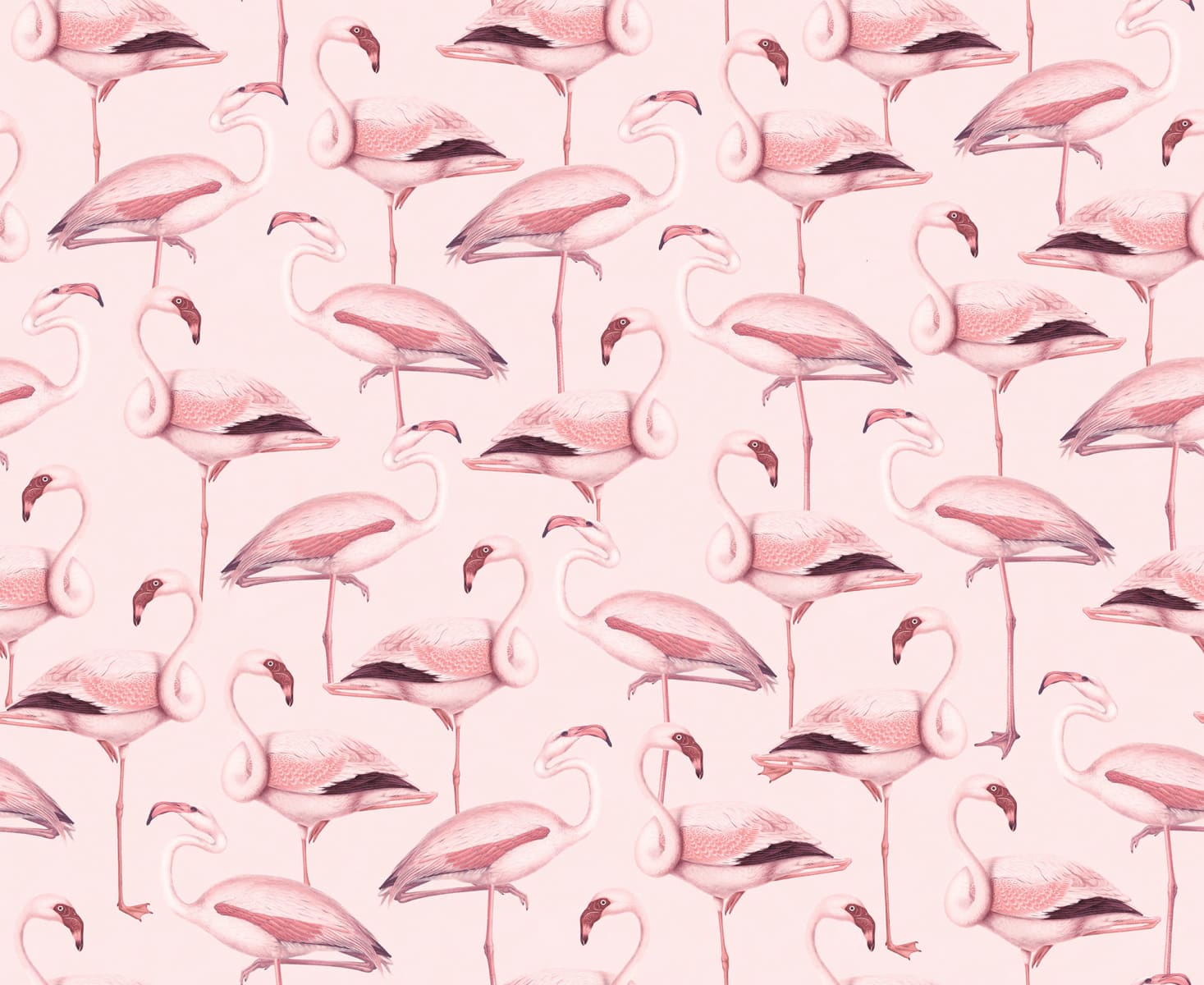 Flamingos, Bubblegum, Rebel Walls
