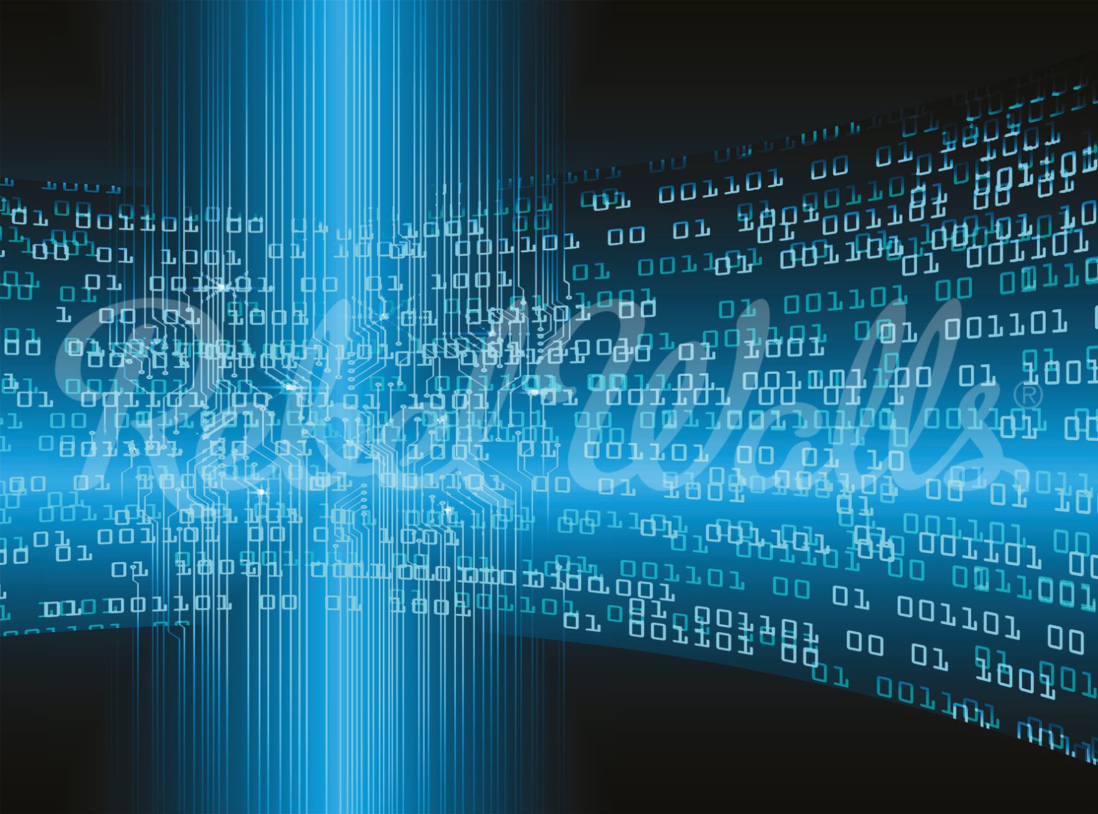 Code, Blue, Rebel Walls