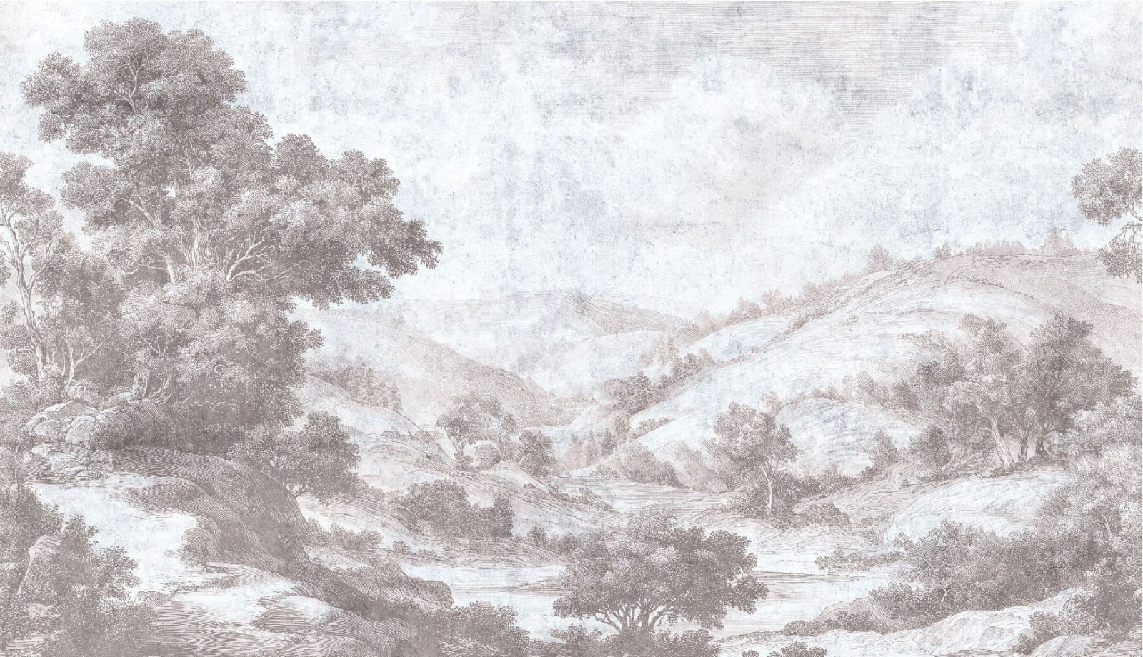 Hills Serenade, Rose, VLAdiLA