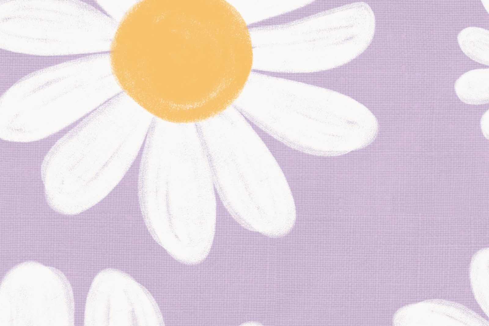 Dashing Daisies, Lilac, Rebel Walls 4
