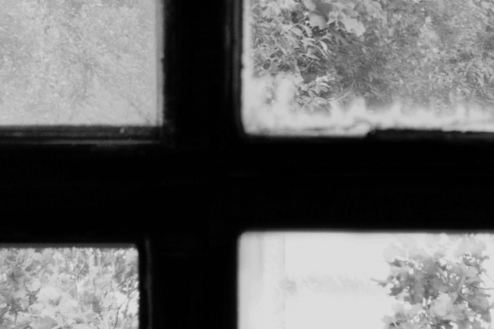 Factory Window, Graphite, Rebel Walls 4