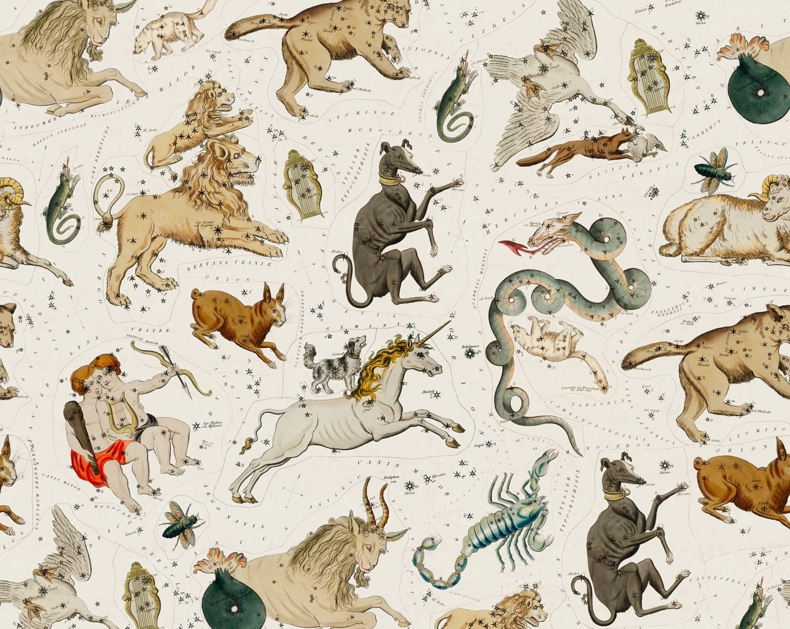 Zodiac, Day, Rebel Walls