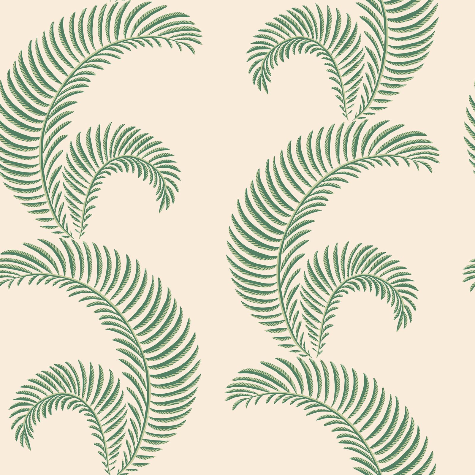 Jasmine, Garden Green, Sandberg, 5.3mp / rola