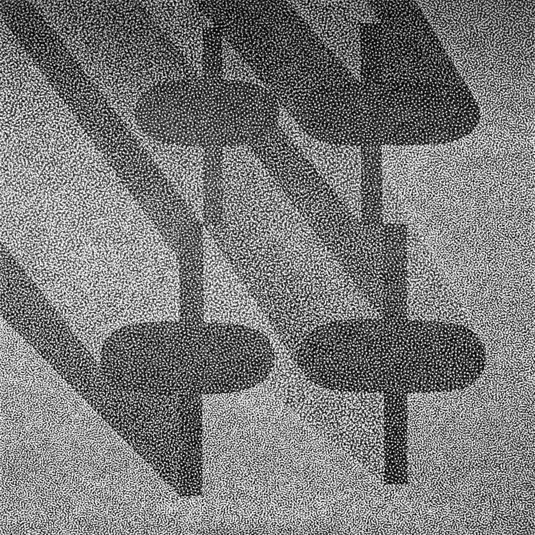Birdseye, Graphite, Rebel Walls