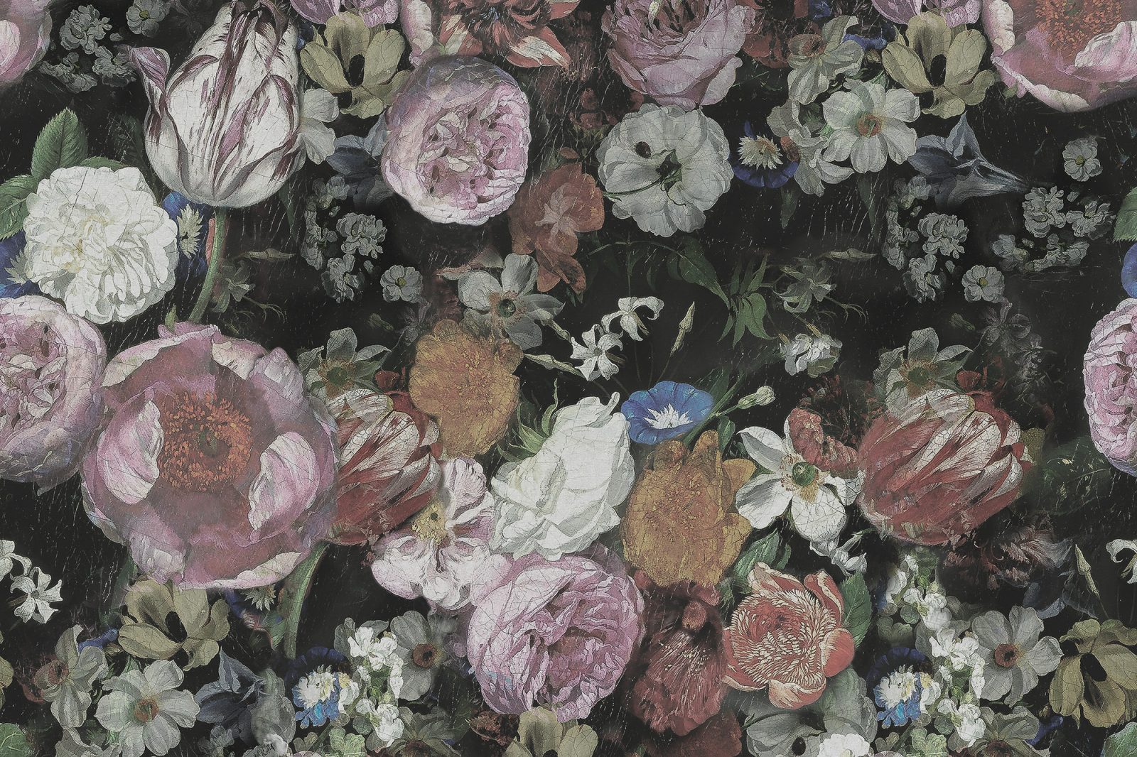 Blooming, Rebel Walls