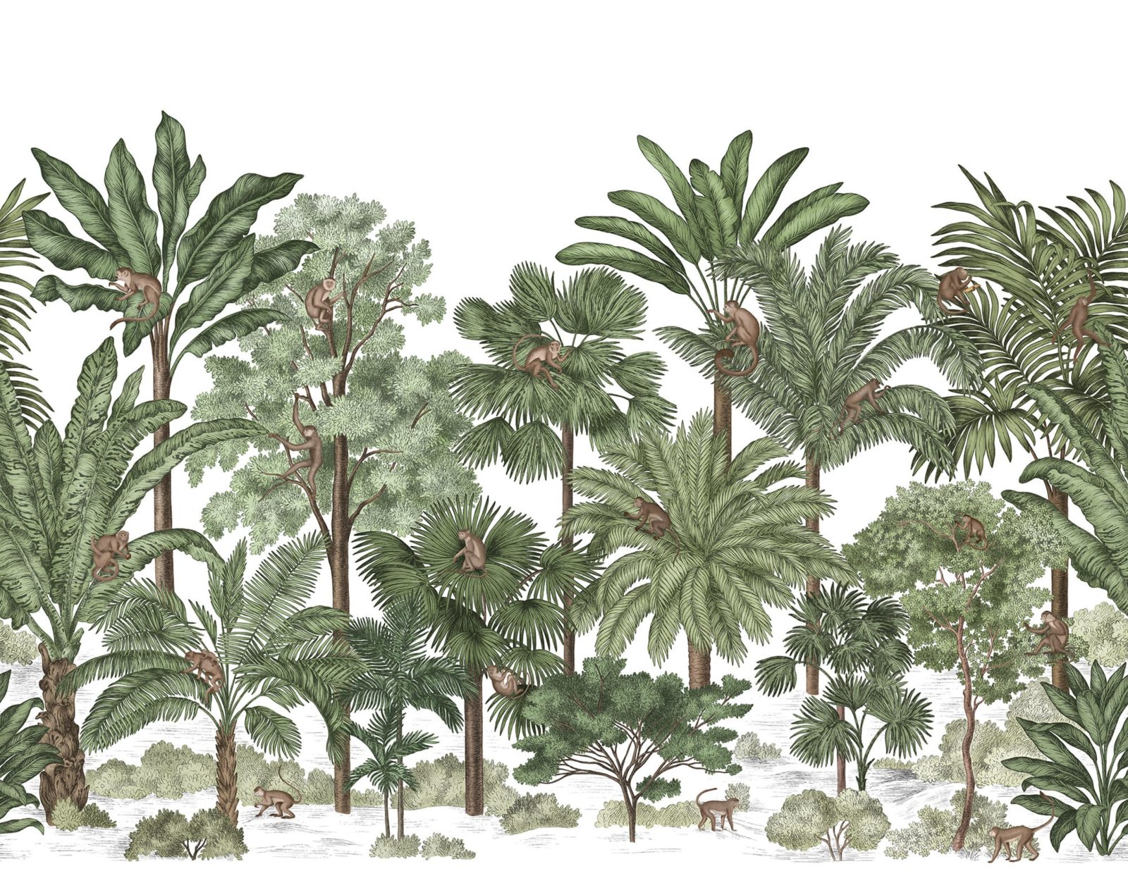Tropical Bellewood, Monkeys, Rebel Walls