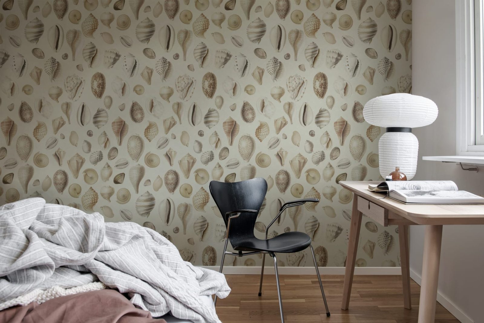Ocean Shells, Sand, Rebel Walls 3