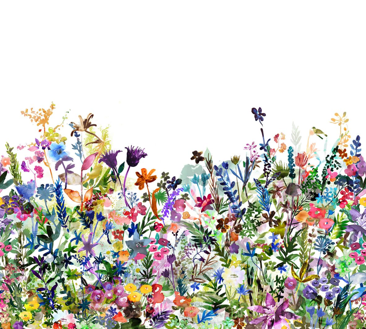 May Meadow, Rebel Walls